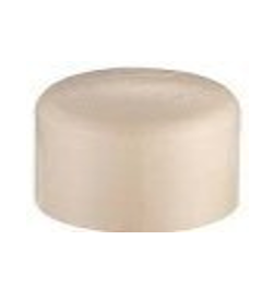 TAPON CACHUCHA CPVC-CTS F-STD 3/4''