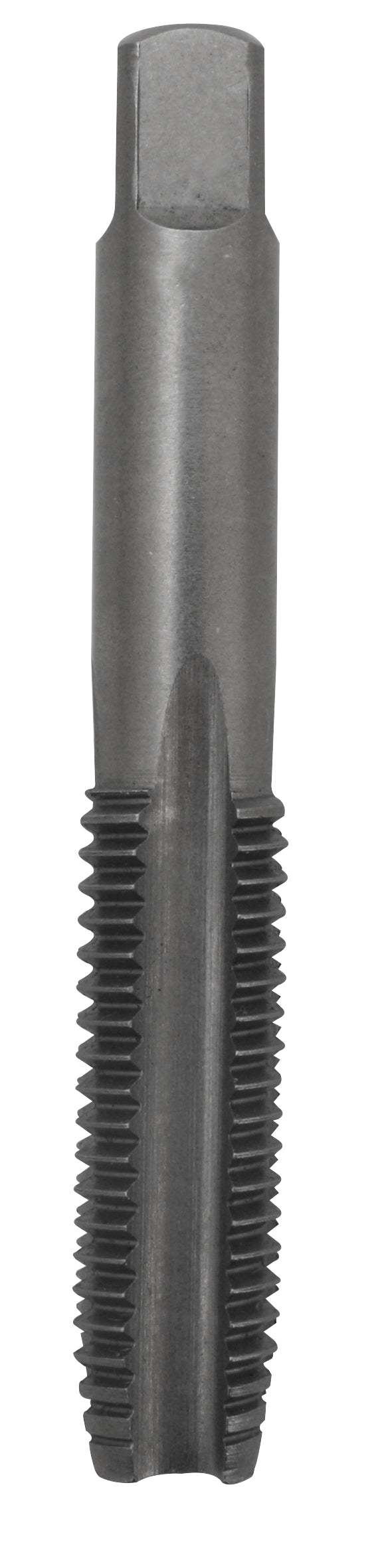 MACHUELO SEMICONICO AAC 12mm-1.75