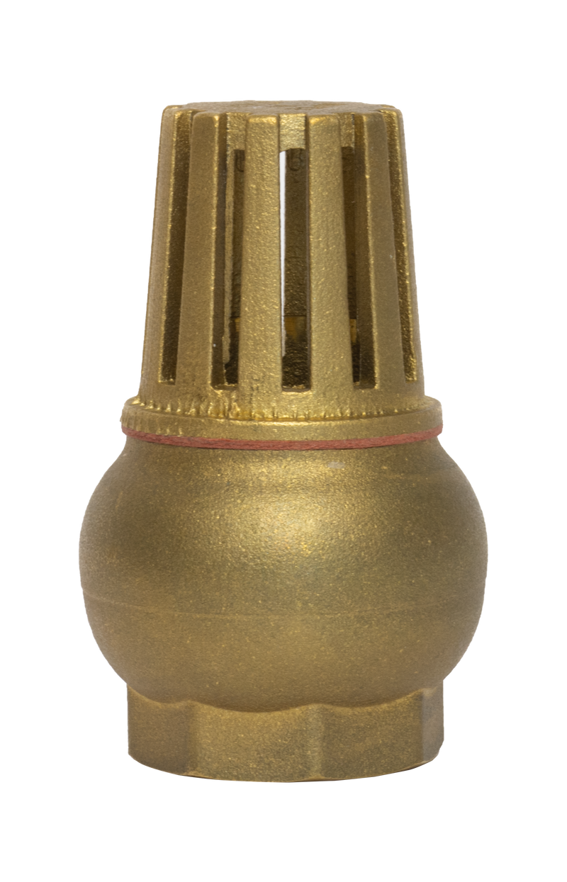 PICHANCHA CON FILTRO LATON 3/4 COFLEX